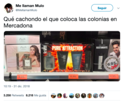 Colonia2